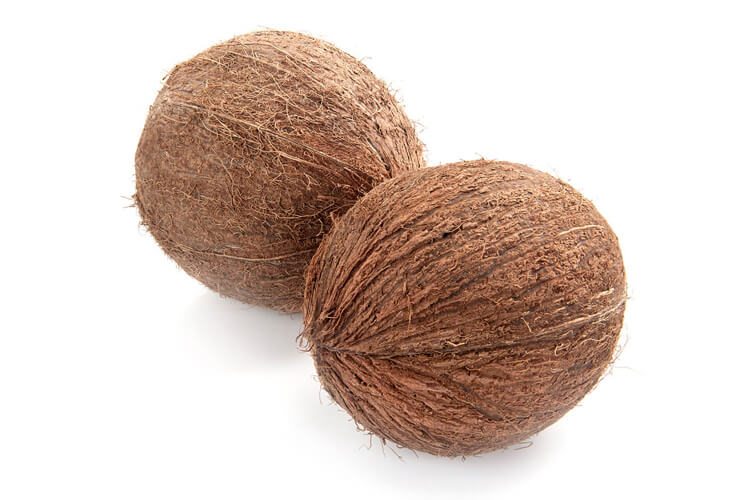 Palmpring Coconut Image