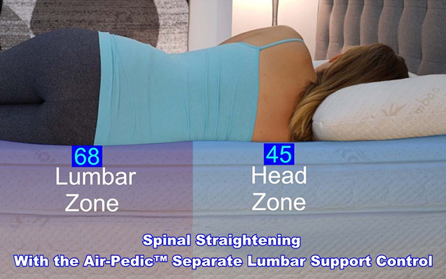 Hip Shoulder And Back Support Zones