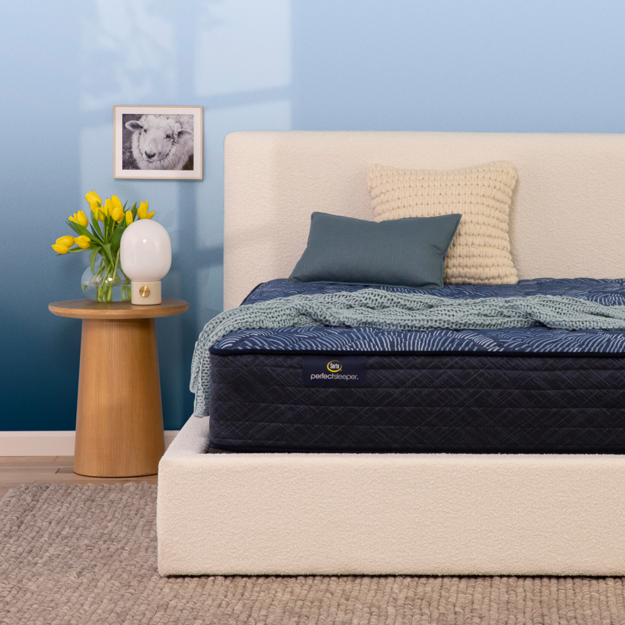 Perfect Sleeper Cobalt Calm Mattress at Ultrabed